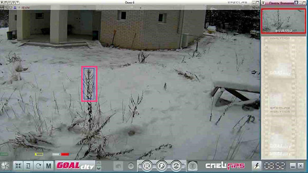 clip0037